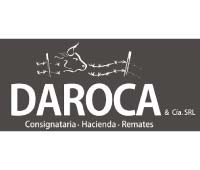 daroca